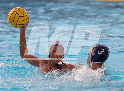Thumbnail 2 in Tesoro @ Cypress photogallery.