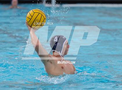 Thumbnail 3 in Tesoro @ Cypress photogallery.