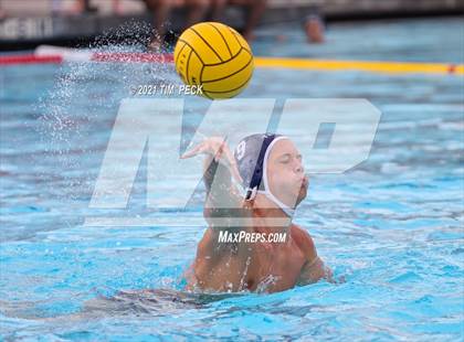 Thumbnail 3 in Tesoro @ Cypress photogallery.