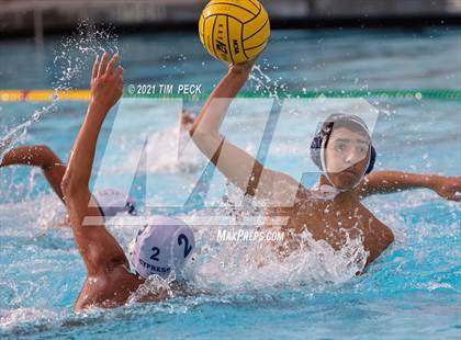 Thumbnail 1 in Tesoro @ Cypress photogallery.