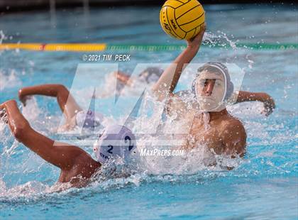 Thumbnail 2 in Tesoro @ Cypress photogallery.