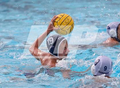 Thumbnail 2 in Tesoro @ Cypress photogallery.