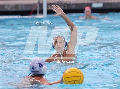 Thumbnail 3 in Tesoro @ Cypress photogallery.