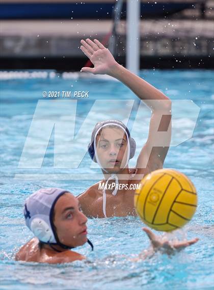 Thumbnail 3 in Tesoro @ Cypress photogallery.