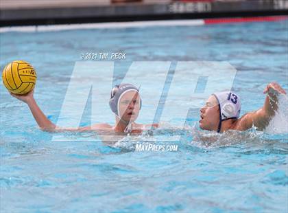 Thumbnail 3 in Tesoro @ Cypress photogallery.