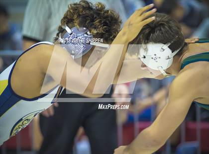 Thumbnail 2 in CIF Southwestern Wrestling Championships photogallery.