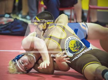 Thumbnail 1 in CIF Southwestern Wrestling Championships photogallery.