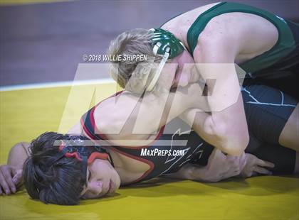 Thumbnail 3 in CIF Southwestern Wrestling Championships photogallery.