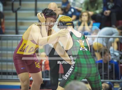 Thumbnail 2 in CIF Southwestern Wrestling Championships photogallery.