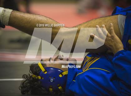 Thumbnail 1 in CIF Southwestern Wrestling Championships photogallery.