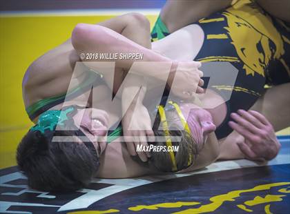 Thumbnail 3 in CIF Southwestern Wrestling Championships photogallery.
