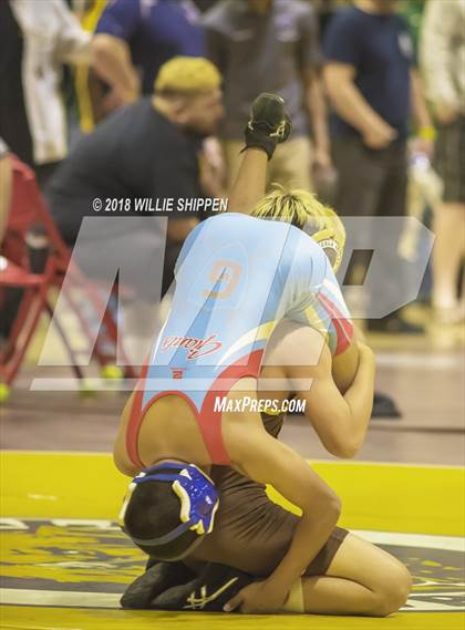 Thumbnail 2 in CIF Southwestern Wrestling Championships photogallery.