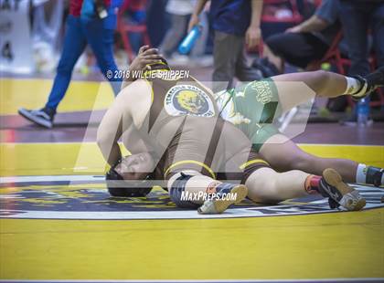 Thumbnail 1 in CIF Southwestern Wrestling Championships photogallery.