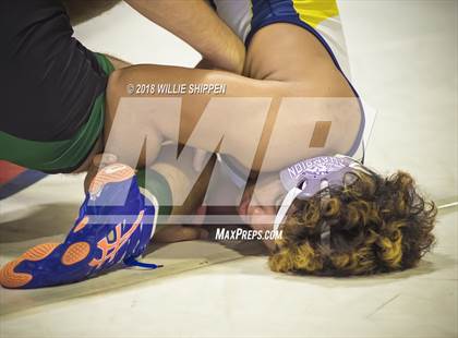 Thumbnail 1 in CIF Southwestern Wrestling Championships photogallery.