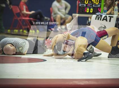 Thumbnail 1 in CIF Southwestern Wrestling Championships photogallery.