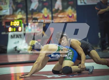 Thumbnail 2 in CIF Southwestern Wrestling Championships photogallery.