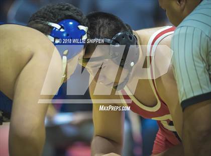 Thumbnail 1 in CIF Southwestern Wrestling Championships photogallery.