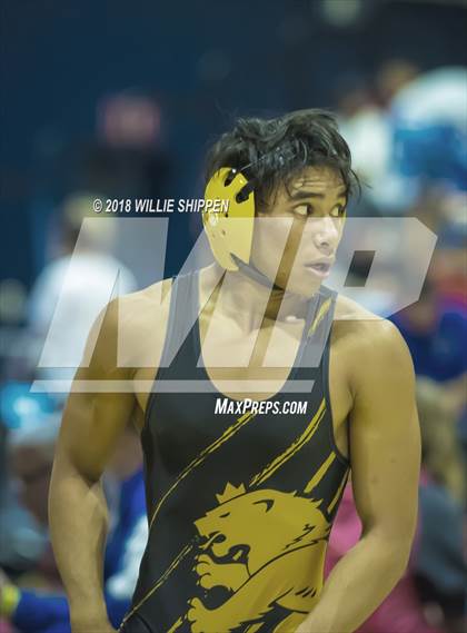 Thumbnail 2 in CIF Southwestern Wrestling Championships photogallery.