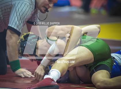 Thumbnail 1 in CIF Southwestern Wrestling Championships photogallery.