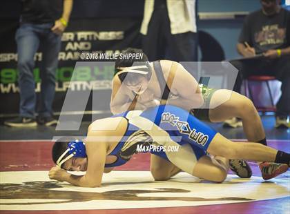 Thumbnail 1 in CIF Southwestern Wrestling Championships photogallery.