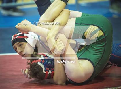 Thumbnail 2 in CIF Southwestern Wrestling Championships photogallery.