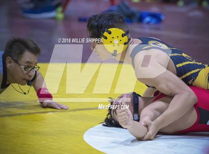 Thumbnail 3 in CIF Southwestern Wrestling Championships photogallery.