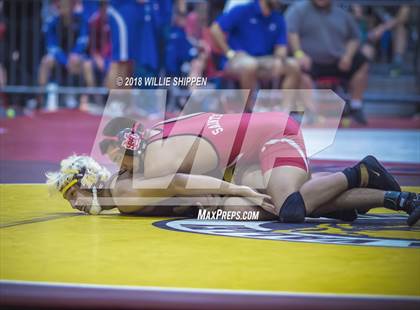 Thumbnail 3 in CIF Southwestern Wrestling Championships photogallery.