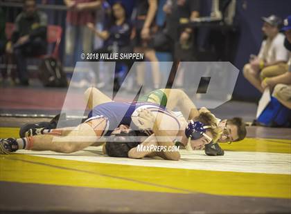 Thumbnail 1 in CIF Southwestern Wrestling Championships photogallery.