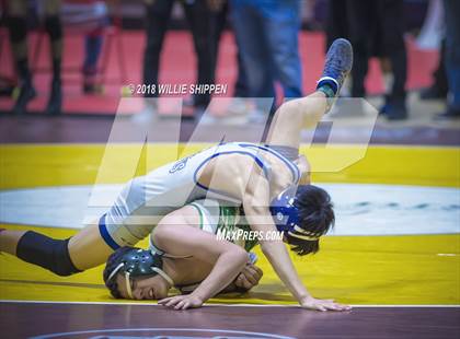 Thumbnail 3 in CIF Southwestern Wrestling Championships photogallery.