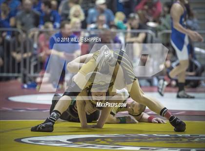 Thumbnail 2 in CIF Southwestern Wrestling Championships photogallery.