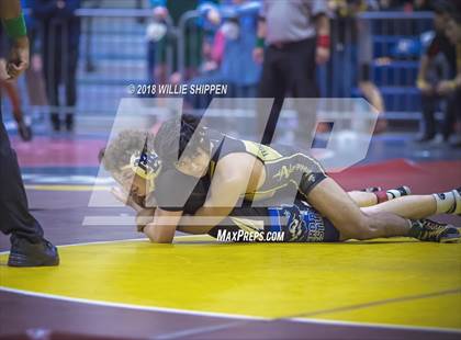 Thumbnail 1 in CIF Southwestern Wrestling Championships photogallery.