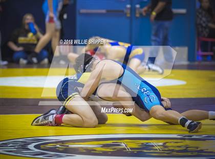 Thumbnail 3 in CIF Southwestern Wrestling Championships photogallery.