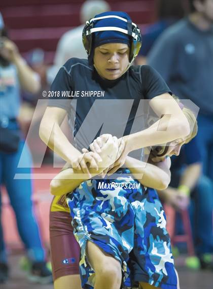 Thumbnail 3 in CIF Southwestern Wrestling Championships photogallery.