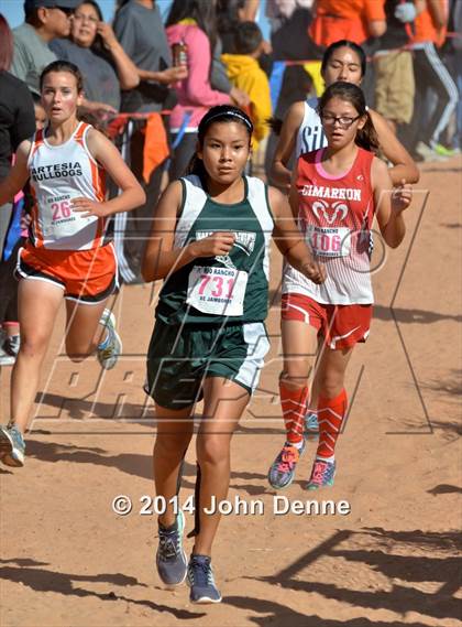 Thumbnail 1 in Rio Rancho Jamboree (Girls Varsity Division) photogallery.