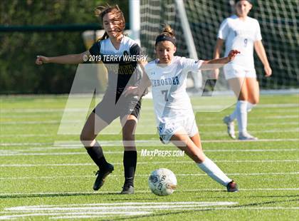 Thumbnail 2 in Webster Schroeder @ Williamsville North photogallery.