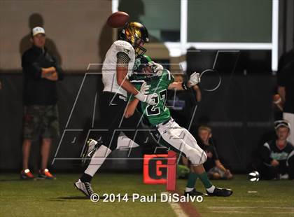 Thumbnail 3 in Mountain Vista @ ThunderRidge photogallery.
