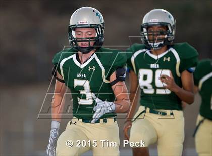 Thumbnail 3 in Yorba Linda @ Brea Olinda photogallery.