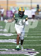 Photo from the gallery "River Rouge @ St. Edward"