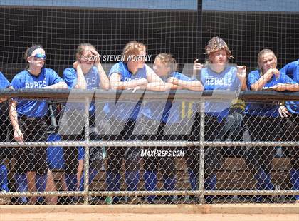 Thumbnail 1 in Parkwood vs. South Granville (NCHSAA 2A Final Game 2) photogallery.