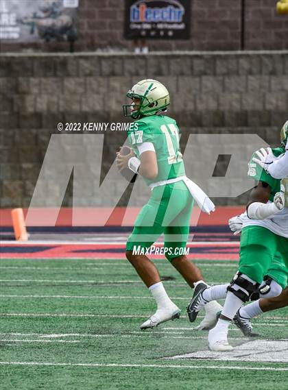 Thumbnail 3 in Thompson vs. Buford photogallery.