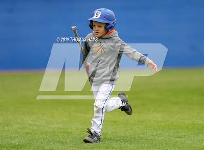 Thumbnail 2 in Cisco @ Brock (UIL 3A Area Playoff) photogallery.