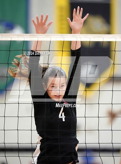 Thumbnail 3 in Oakton @ James Madison photogallery.