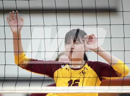 Thumbnail 2 in Oakton @ James Madison photogallery.