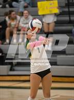 Photo from the gallery "Hillsboro @ Putnam"