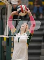 Photo from the gallery "Hillsboro @ Putnam"