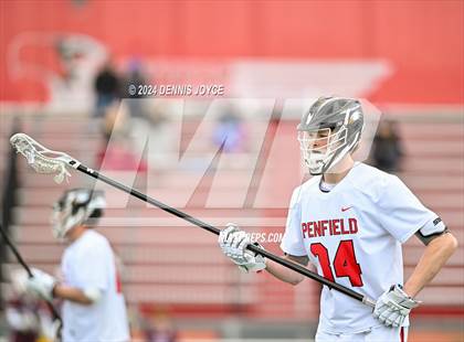 Thumbnail 3 in Orchard Park @ Penfield photogallery.