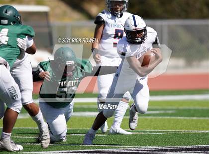 Thumbnail 2 in Citrus Hill @ Tahquitz photogallery.