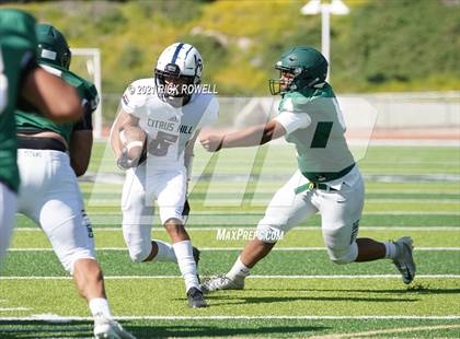 Thumbnail 1 in Citrus Hill @ Tahquitz photogallery.
