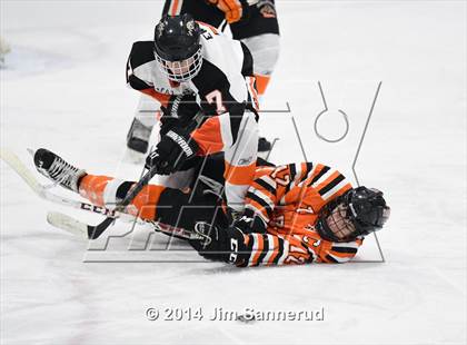 Thumbnail 3 in White Plains @ Mamaroneck photogallery.