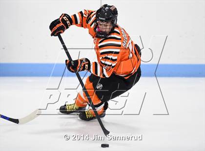 Thumbnail 1 in White Plains @ Mamaroneck photogallery.